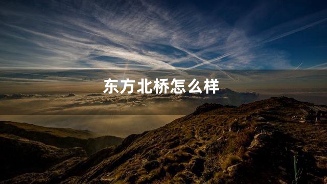 东方北桥怎么样