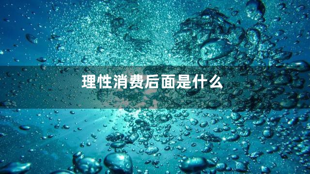 理性消费后面是什么