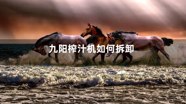 九阳榨汁机如何拆卸