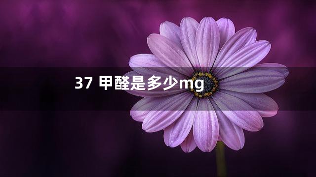 37 甲醛是多少mg