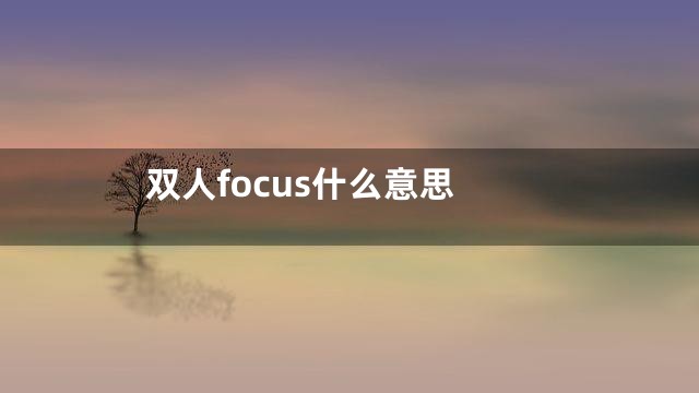 双人focus什么意思