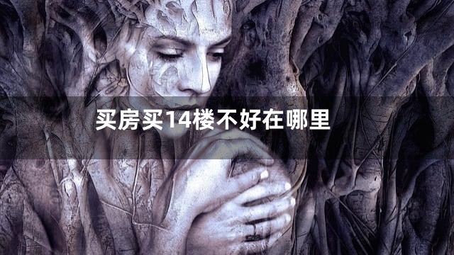 买房买14楼不好在哪里
