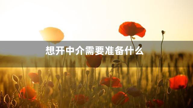 想开中介需要准备什么