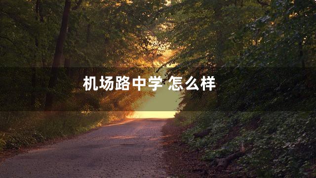 机场路中学 怎么样