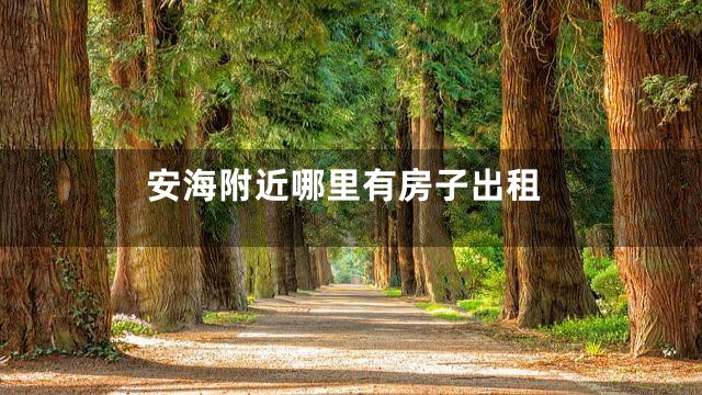 安海附近哪里有房子出租