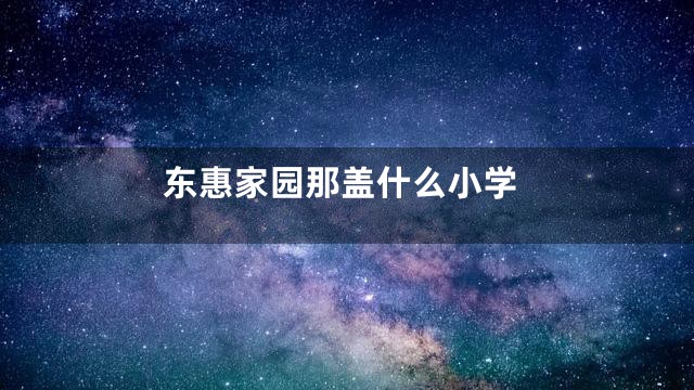东惠家园那盖什么小学