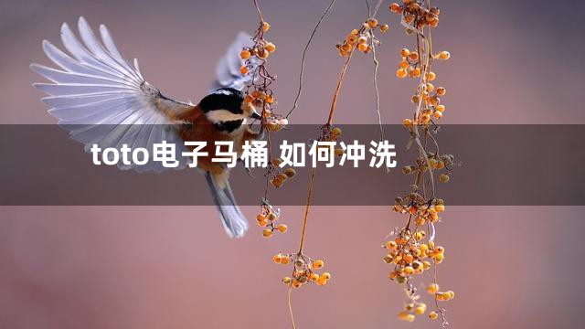 toto电子马桶 如何冲洗