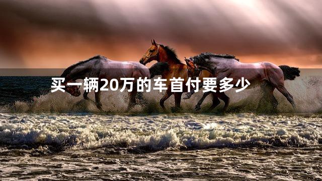 买一辆20万的车首付要多少