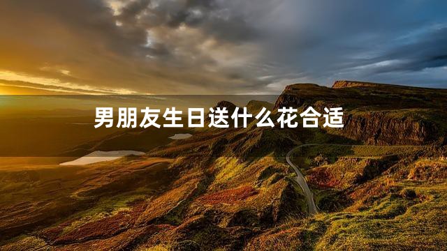 男朋友生日送什么花合适