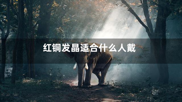 红铜发晶适合什么人戴