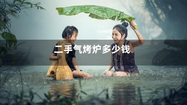 二手气烤炉多少钱