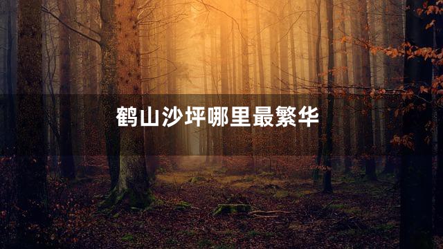 鹤山沙坪哪里最繁华