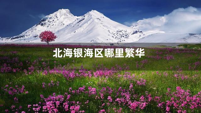 北海银海区哪里繁华