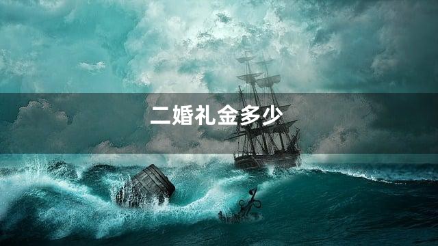 二婚礼金多少