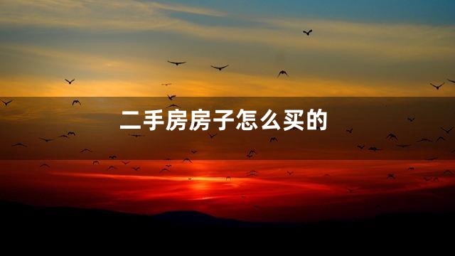 二手房房子怎么买的