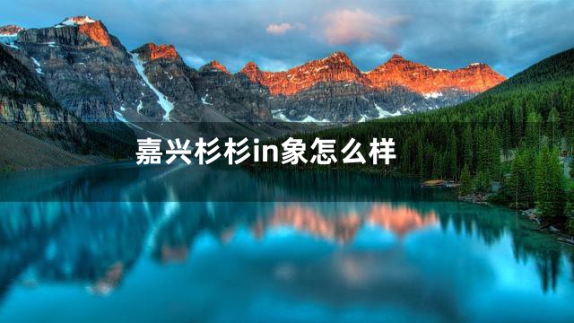 嘉兴杉杉in象怎么样