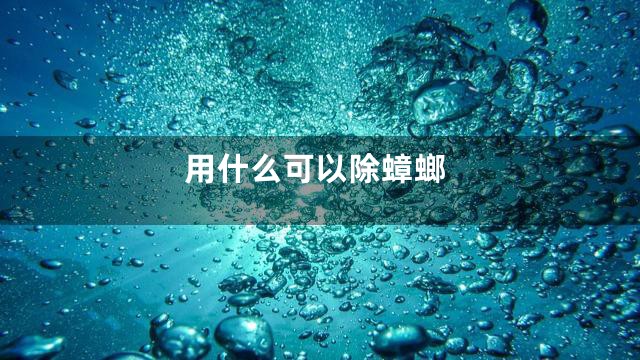 用什么可以除蟑螂