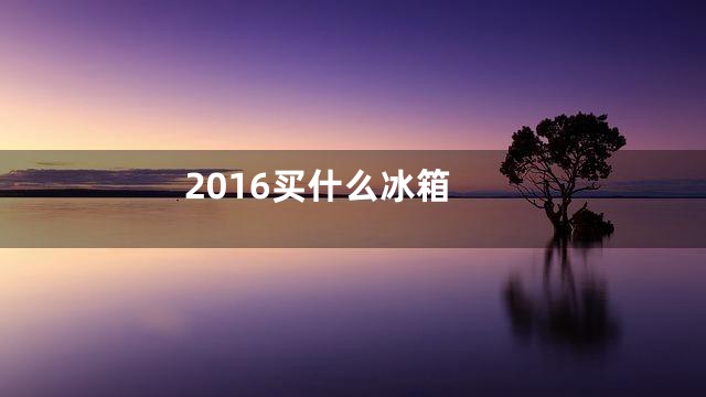 2016买什么冰箱