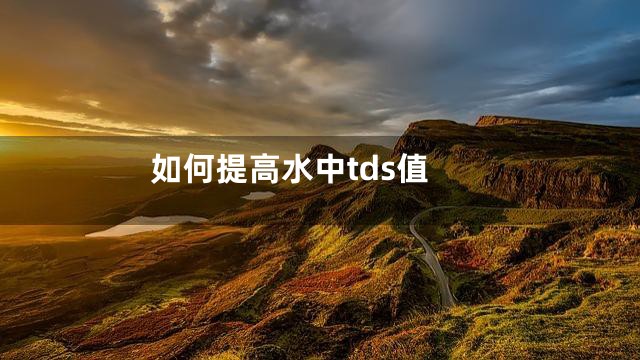 如何提高水中tds值