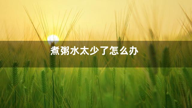 煮粥水太少了怎么办