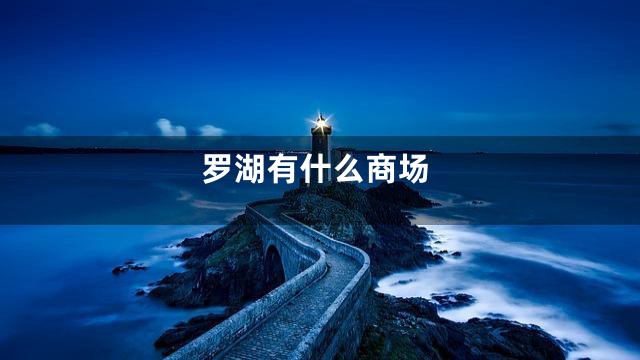 罗湖有什么商场