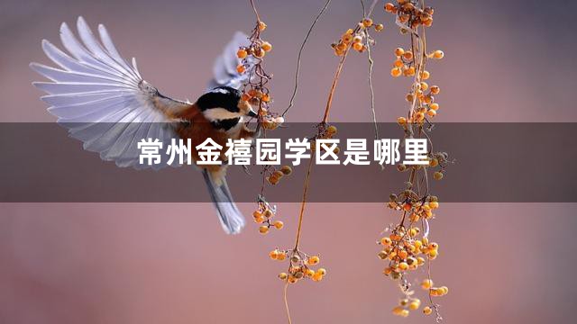 常州金禧园学区是哪里
