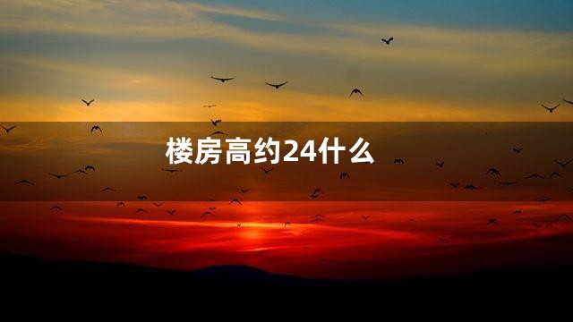楼房高约24什么