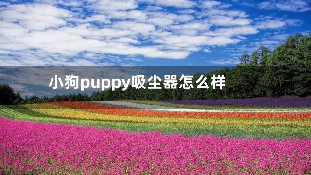 小狗puppy吸尘器怎么样