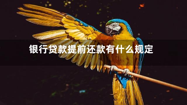银行贷款提前还款有什么规定