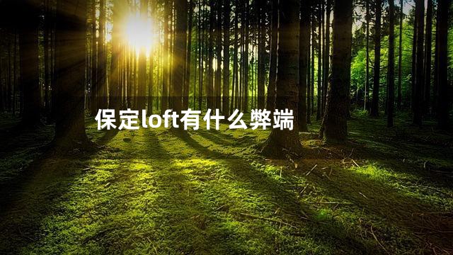 保定loft有什么弊端