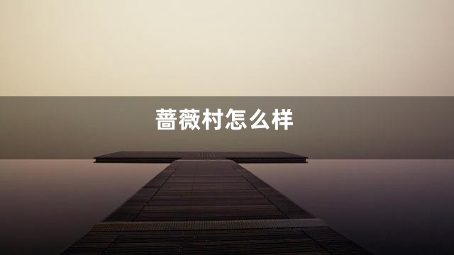 蔷薇村怎么样