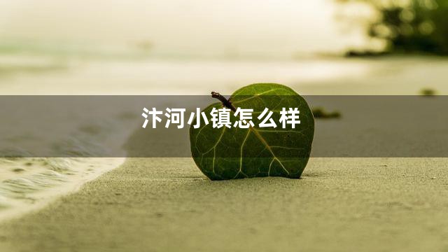 汴河小镇怎么样