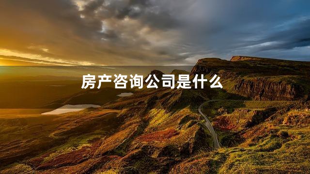 房产咨询公司是什么