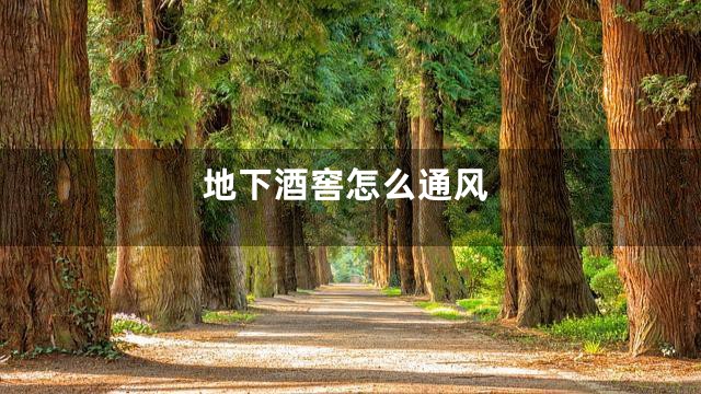 地下酒窖怎么通风