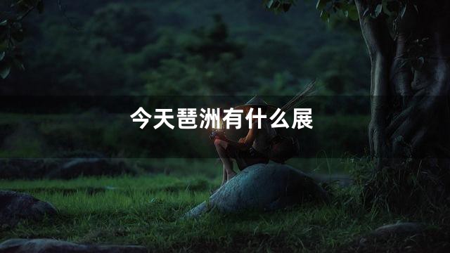 今天琶洲有什么展