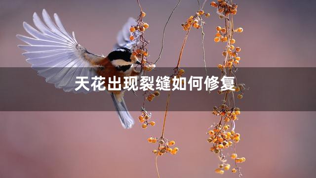 天花出现裂缝如何修复