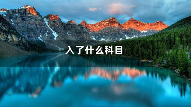 入了什么科目