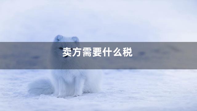 卖方需要什么税
