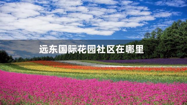 远东国际花园社区在哪里