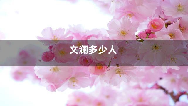 文澜多少人