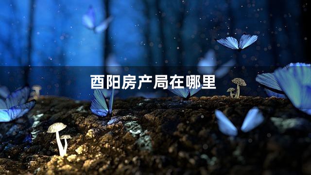 酉阳房产局在哪里