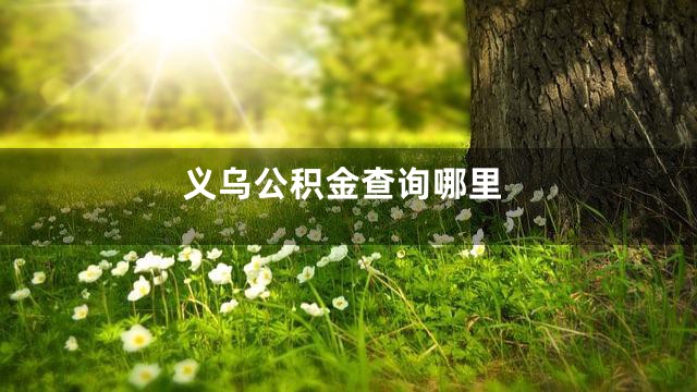 义乌公积金查询哪里