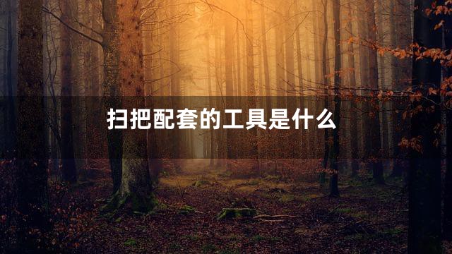 扫把配套的工具是什么