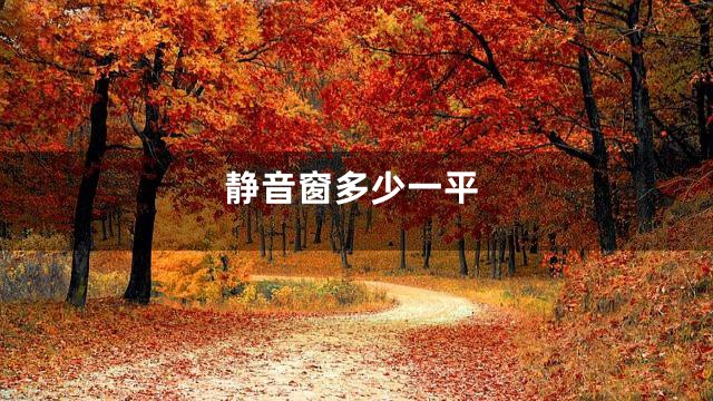 静音窗多少一平