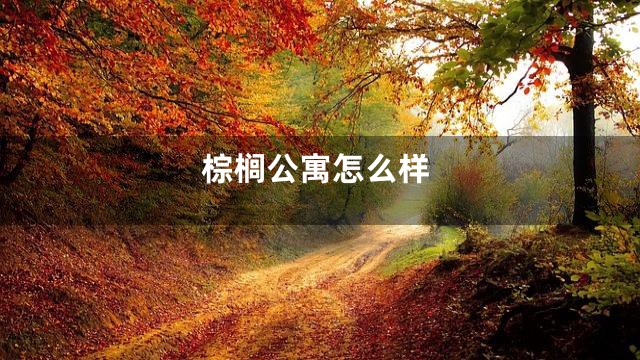 棕榈公寓怎么样