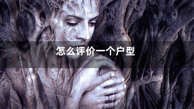 怎么评价一个户型