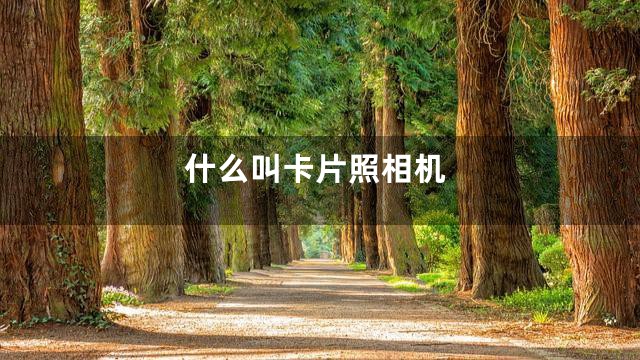 什么叫卡片照相机