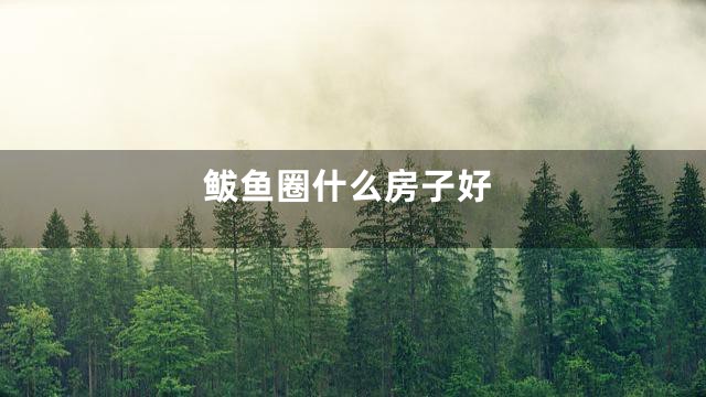 鲅鱼圈什么房子好