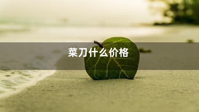 菜刀什么价格