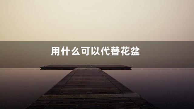 用什么可以代替花盆